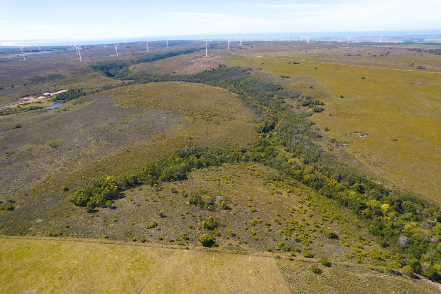 0 Bedroom Property for Sale in Humansdorp Rural Eastern Cape